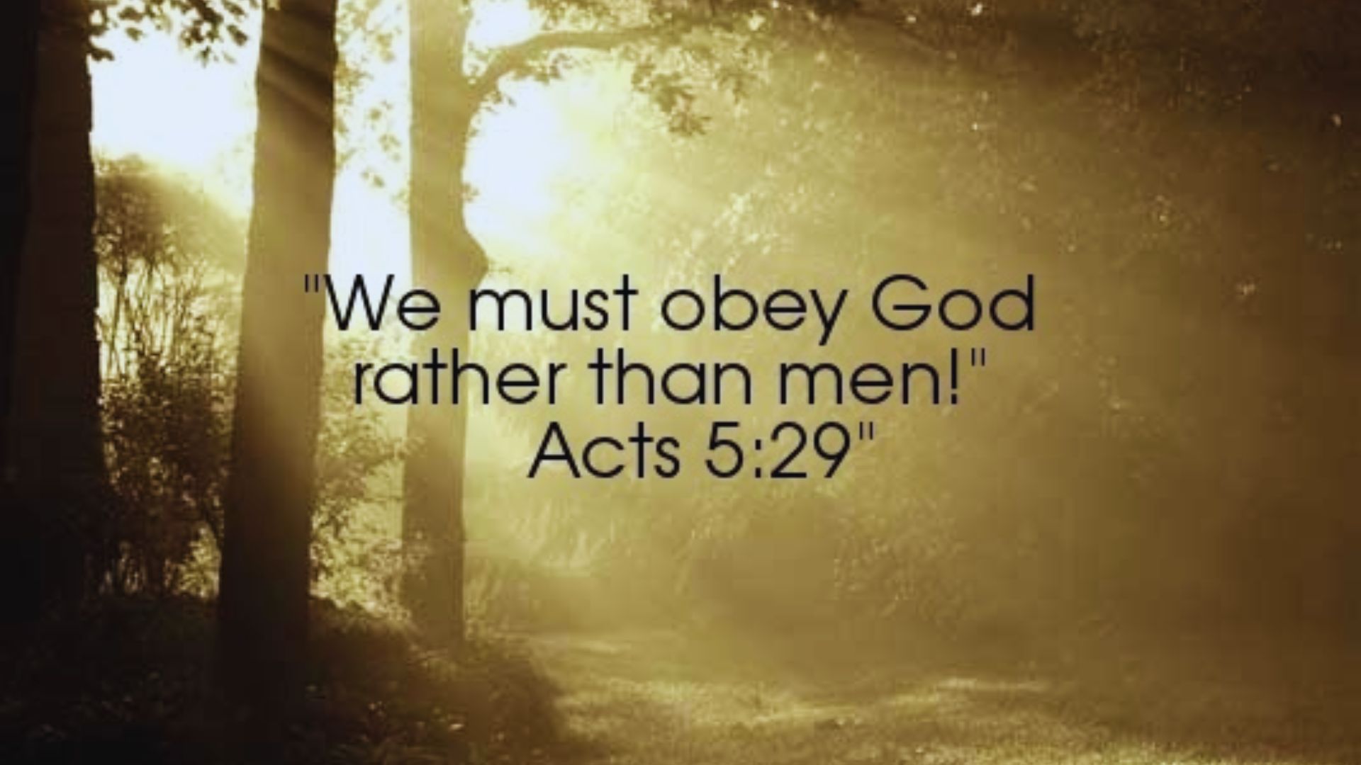 Text from Acts 5:22: "We must obey God rather than men," displayed on a textured background.