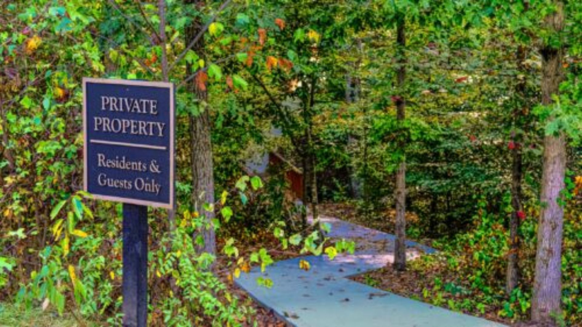 A sign reading "Private Property" stands among trees in a wooded area.