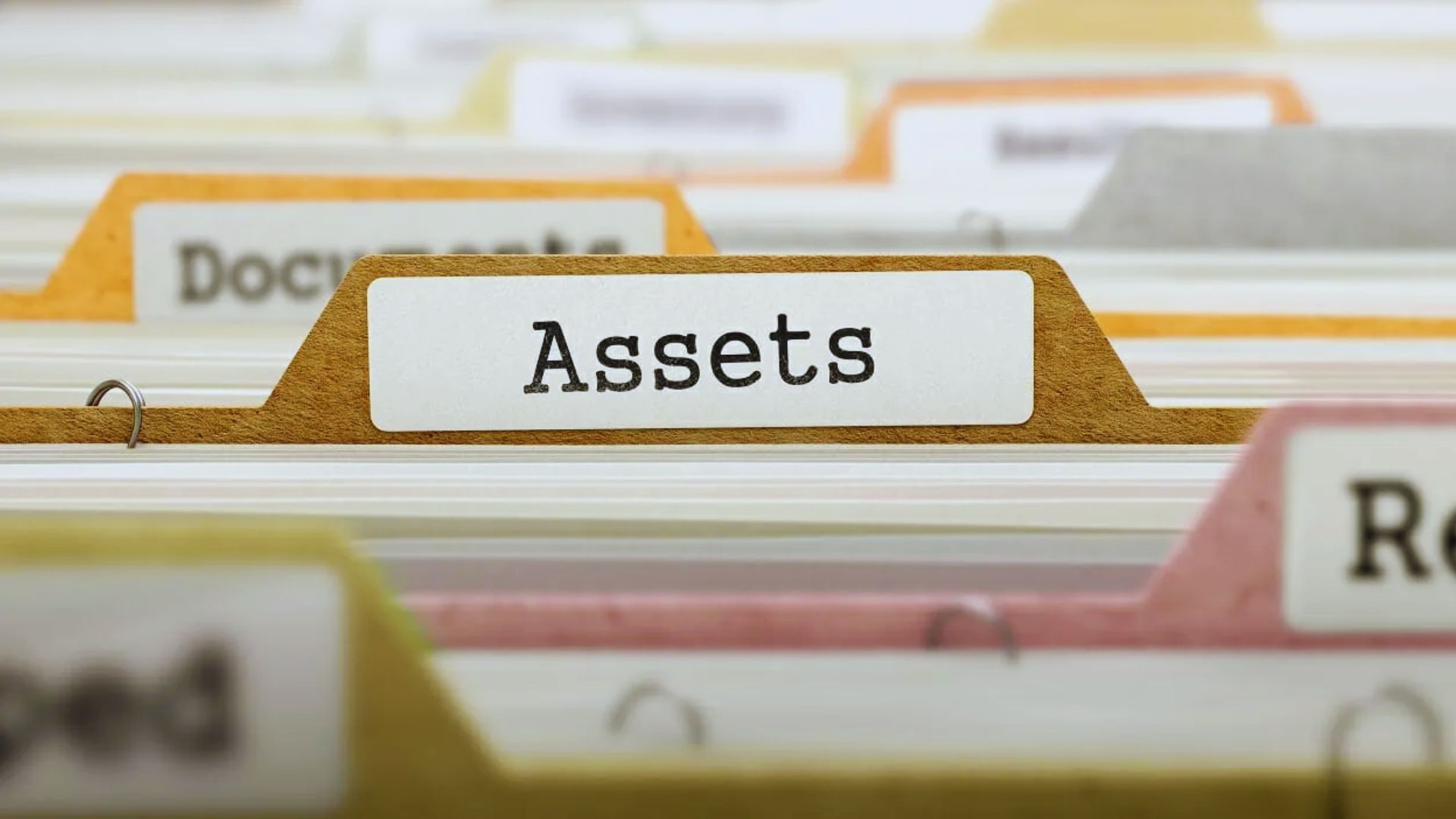 Screenshot of asset management software interface displaying graphs, charts, and data analytics for financial tracking.
