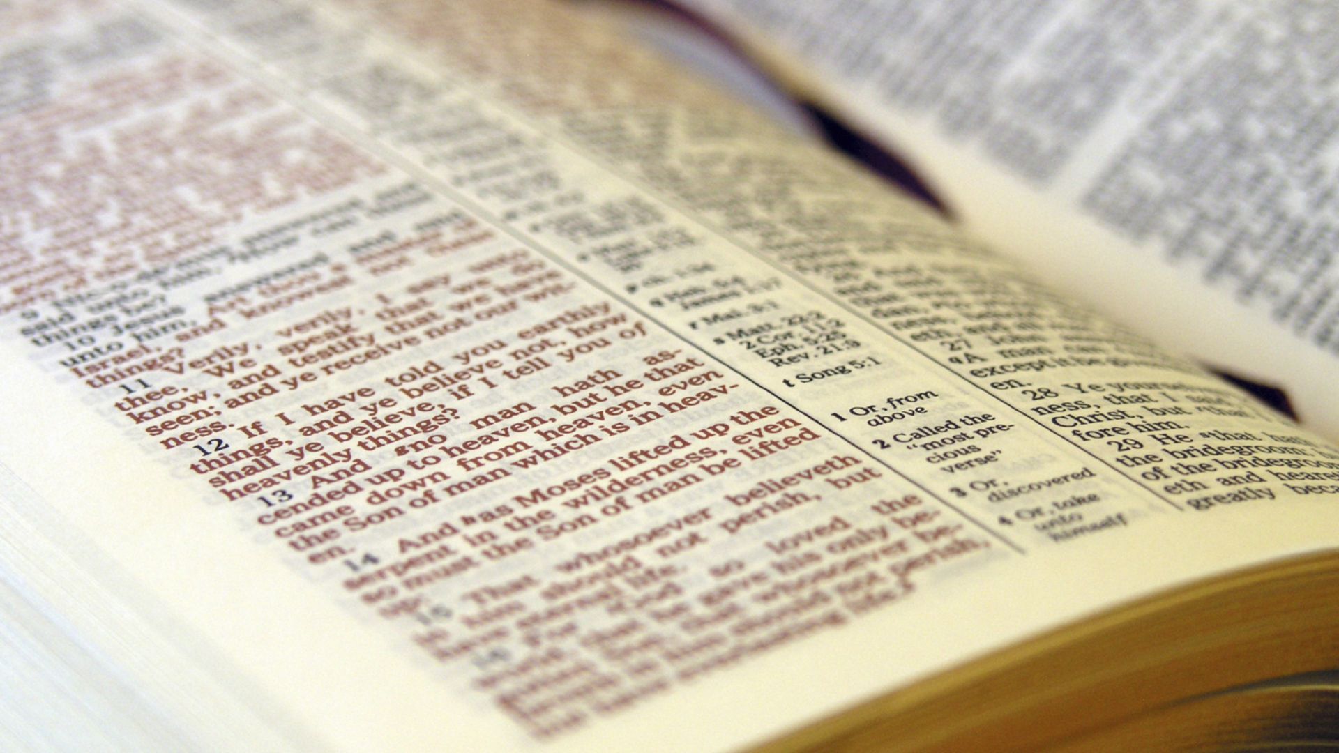 A close-up view of an open Bible, showcasing the text and pages with visible annotations and highlights.