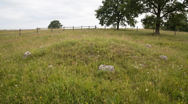 Natural grave site on family land covered with grass, no headstone or casket visible.