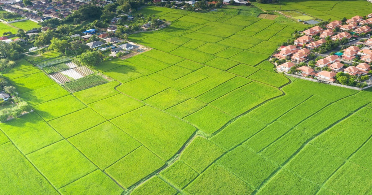Land that can be converted from section to acres