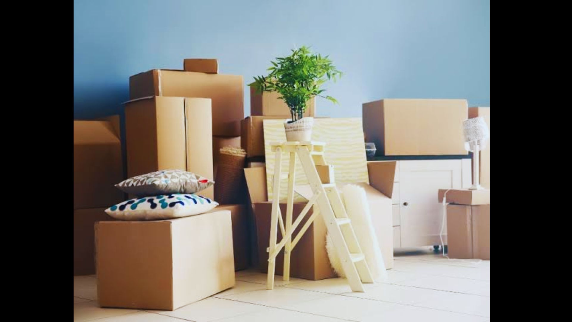 Cardboard boxes, a ladder, and a potted plant packed inside a room, preparing for a move.
