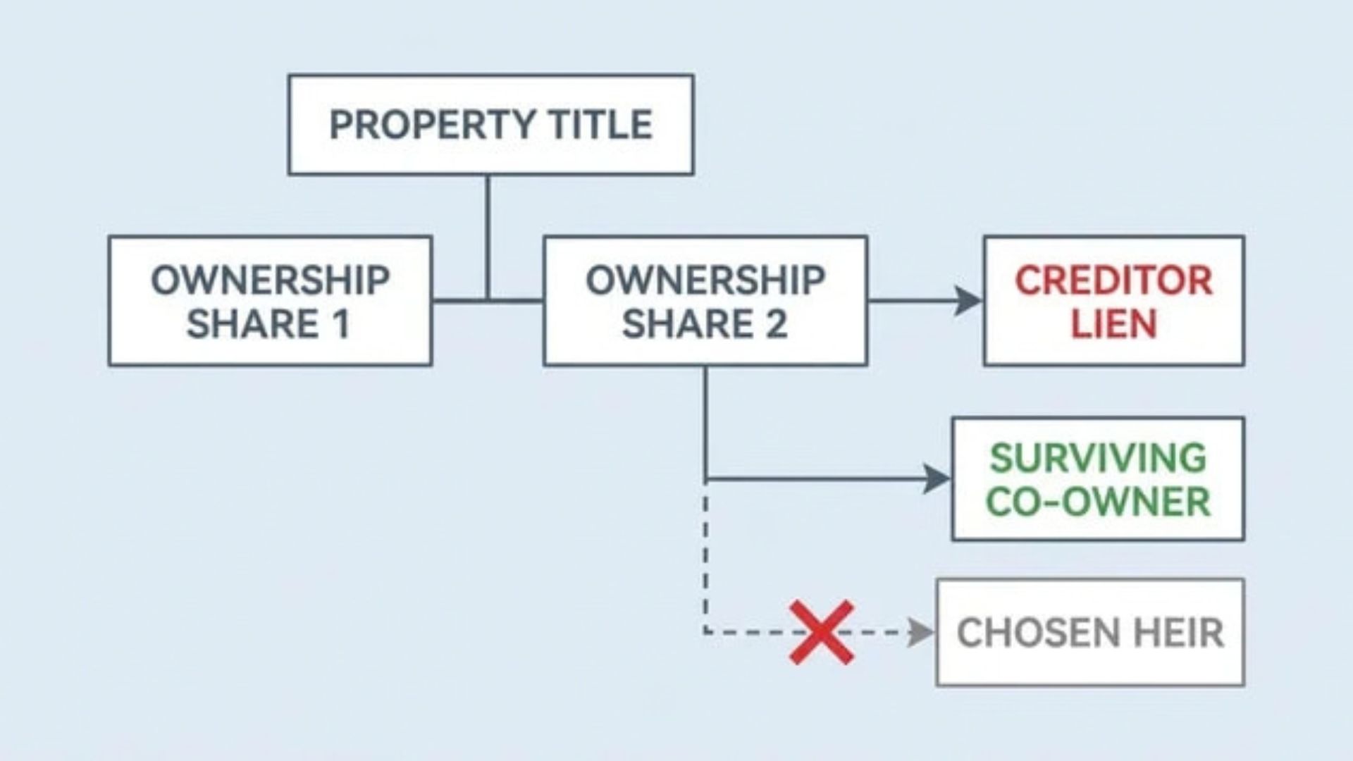 Diagram of a co-owned property share subject to a creditor lien and automatic survivorship transfer